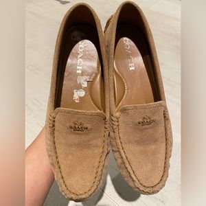 Coach suede loafers/moccasins